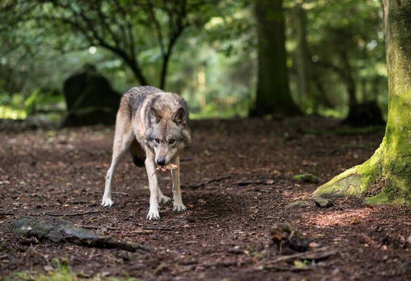 酒店 Goldflair Am Rathaus