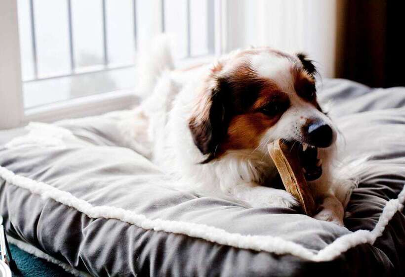 Fotos del hotel Relexa  Stuttgarter Hof:  36