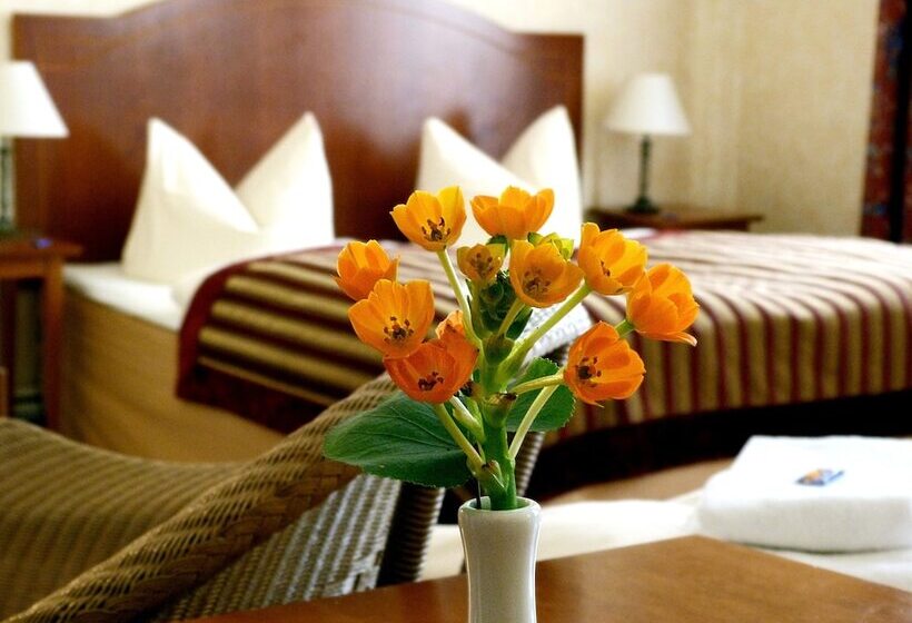 Fotos del hotel Safestay Berlin:  21