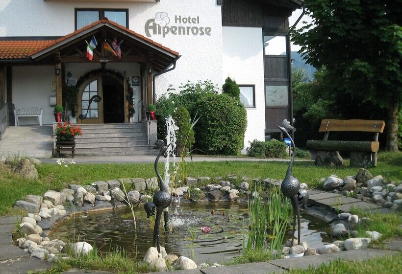 Hotel Akzent  Alpenrose