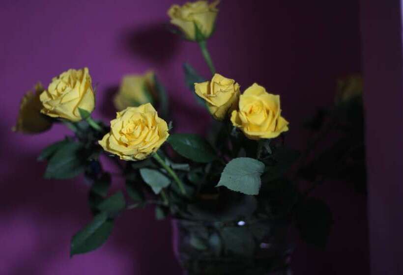 Fotos del hotel Carlton:  13