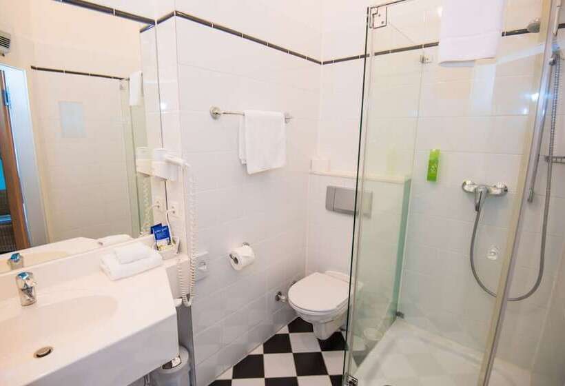 Fotos del hotel Robert Mayer:  15