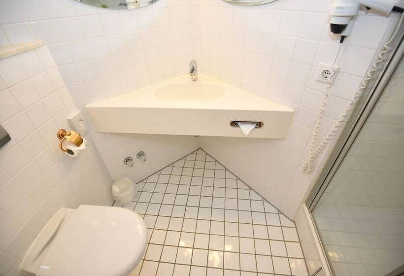 Fotos del hotel Robert Mayer:  13