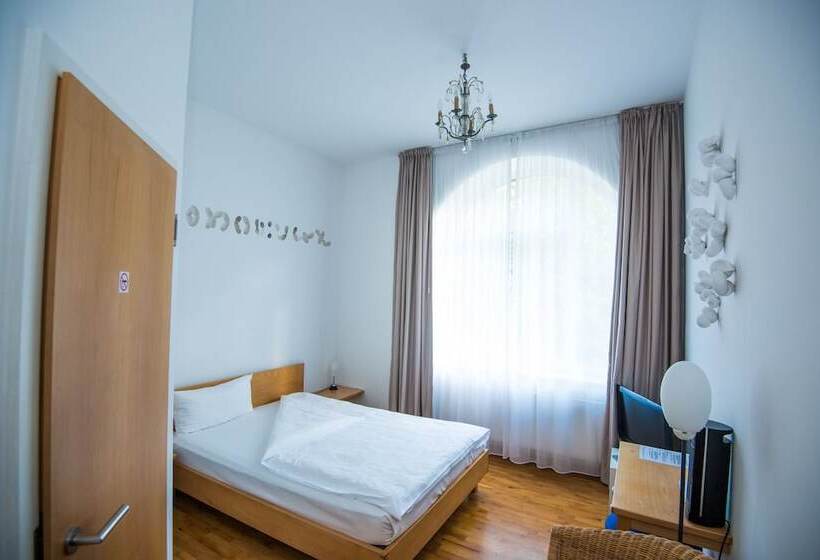 Fotos del hotel Robert Mayer:  9