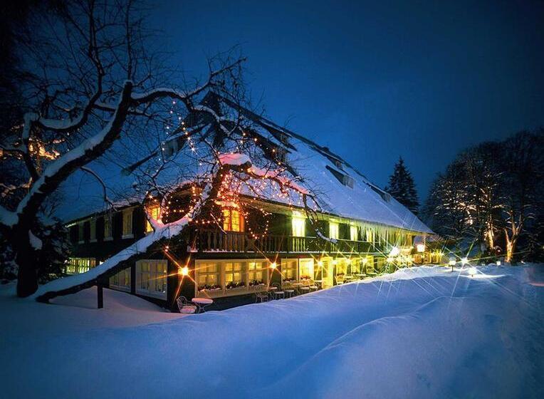 Parkhotel Adler