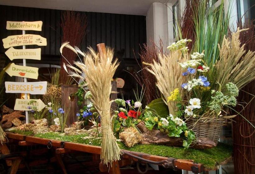 هتل Rheinterrasse Benrath