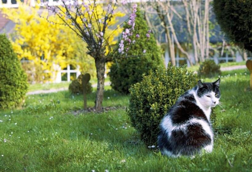 Romantik Hotel Jagdhaus Waldidyll