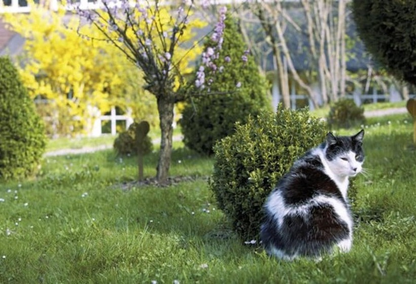 Romantik Hotel Jagdhaus Waldidyll