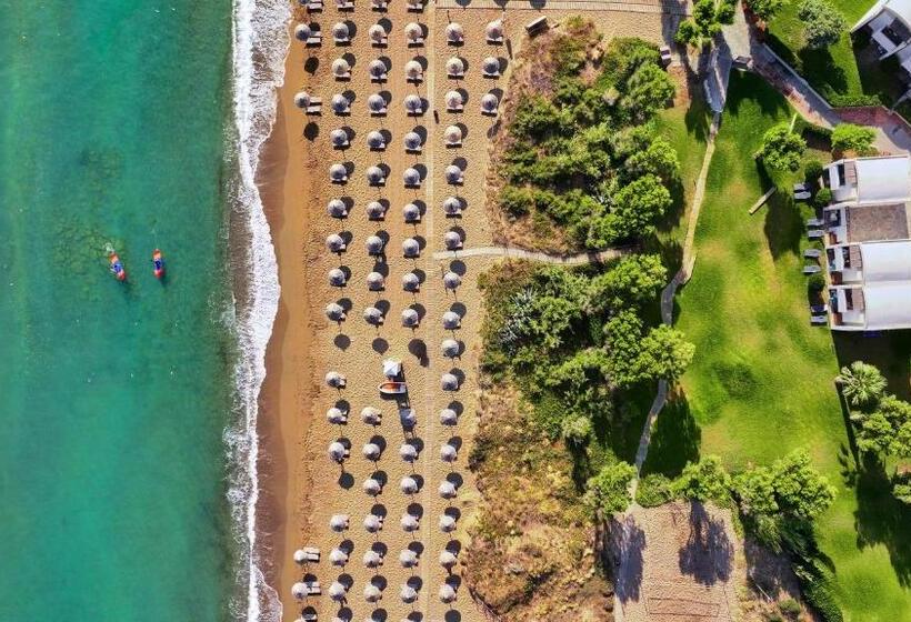 هتل Agapi Beach Resort Premium All Inclusive