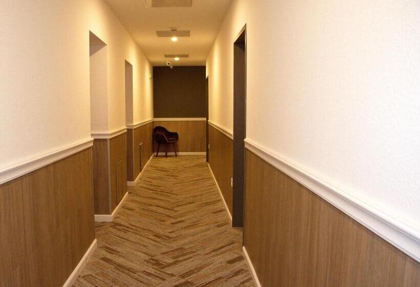 Fotos del hotel City Hotel Ring:  28