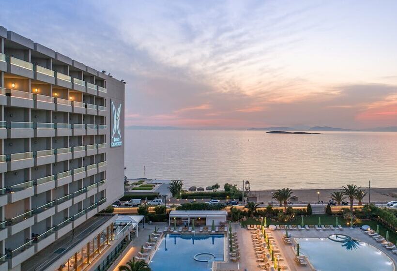 Hotel Divani Apollon Palace & Thalasso