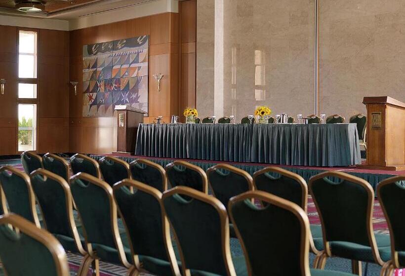 هتل Divani Apollon Palace & Thalasso