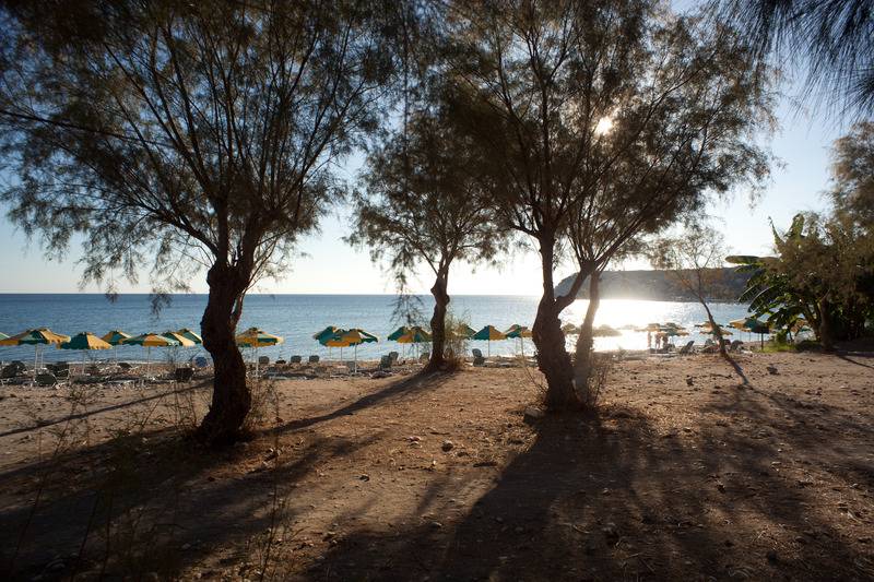 هتل Irene Palace Beach Resort