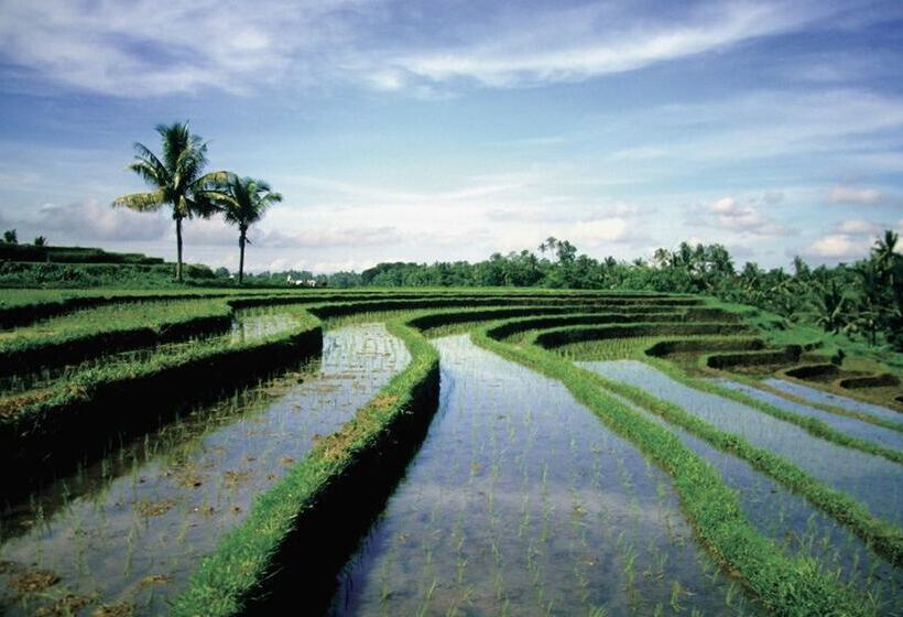 Four Seasons Resort Bali At Sayan