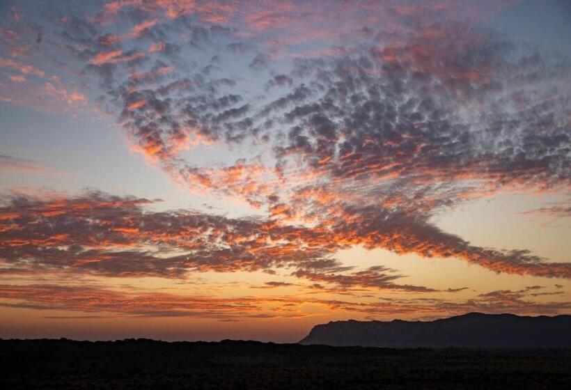 Fotos del hotel The Gateway  Ramgarh, Jaipur:  36