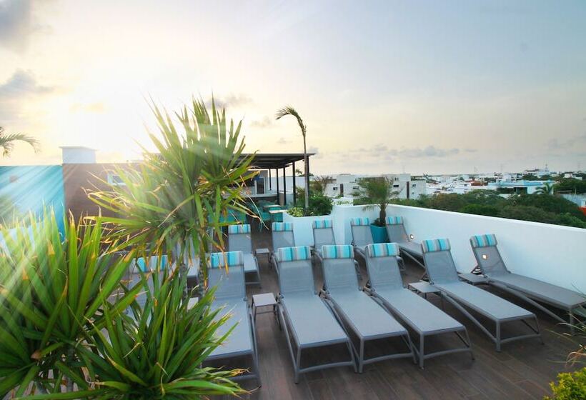 בית מלון כפרי The Gallery Apartments