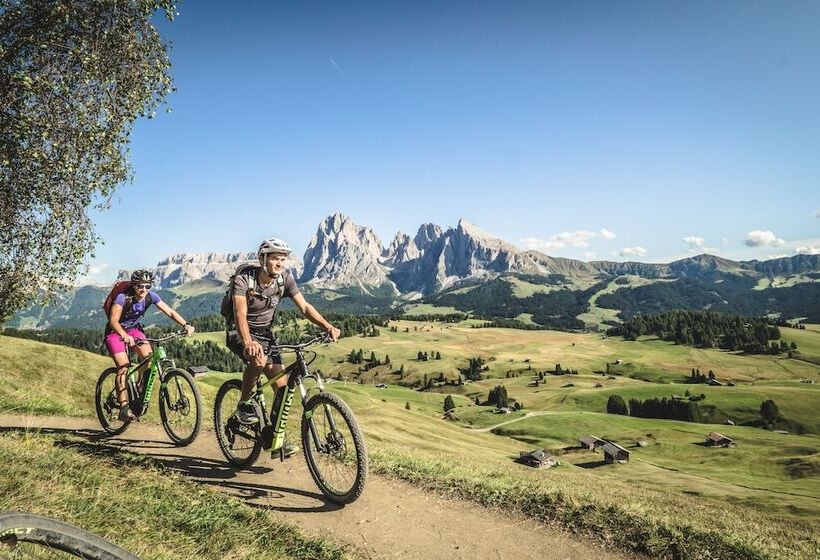 هتل Adler Spa Resort Dolomiti