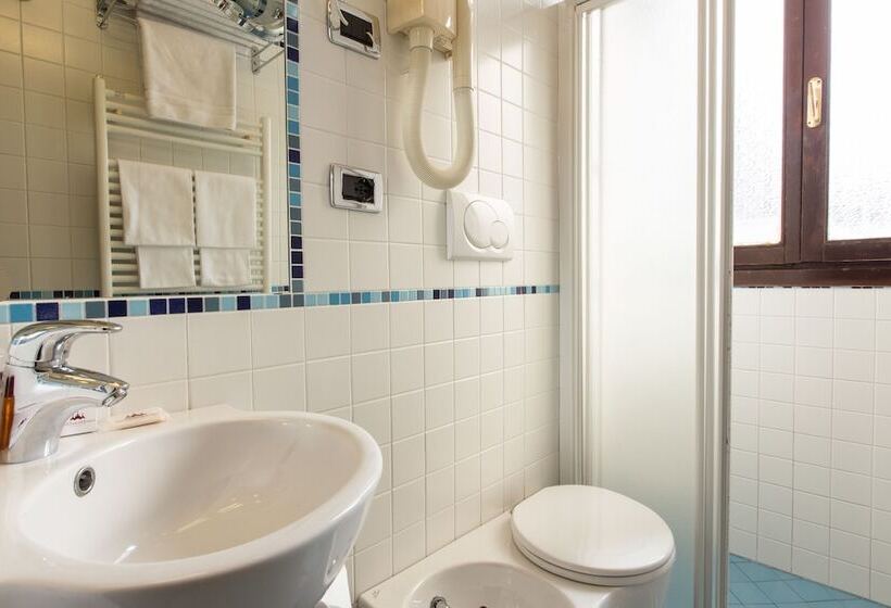 Fotos del hotel Ambassador Tre Rose:  34