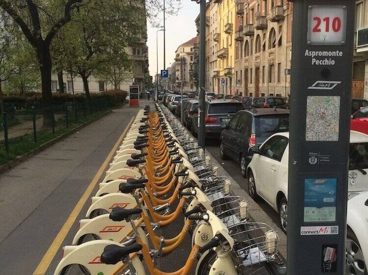 Fotos del hotel Aspromonte:  20