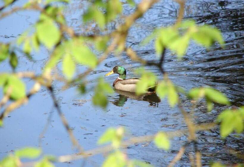 فندق Downhill Inn