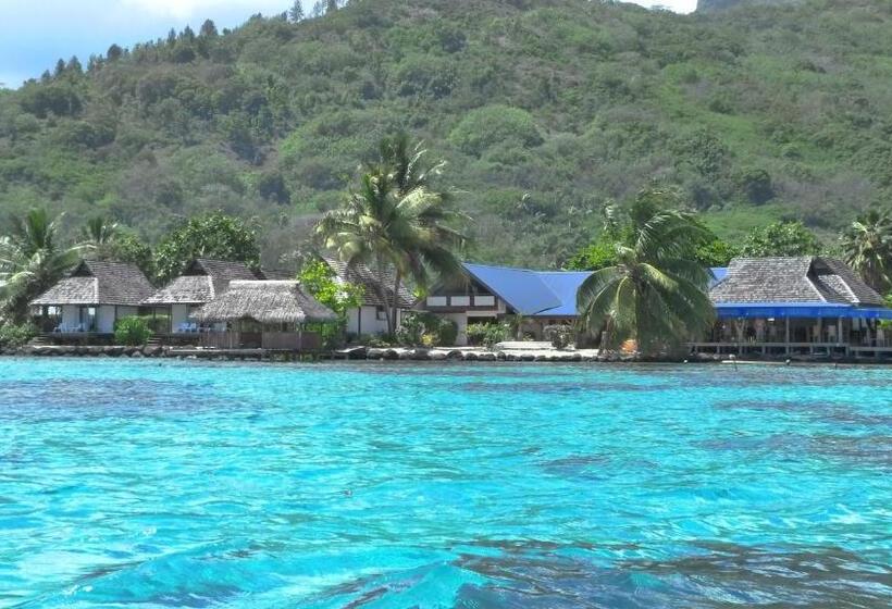 Pension Motu Iti