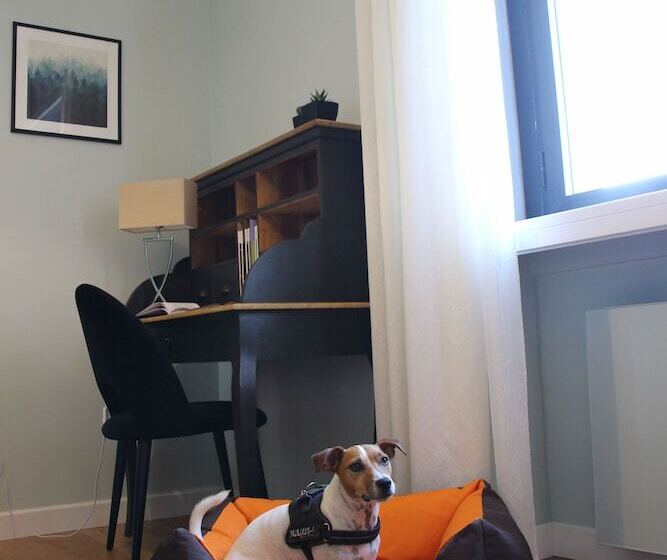 Fotos del hotel Fenix:  59