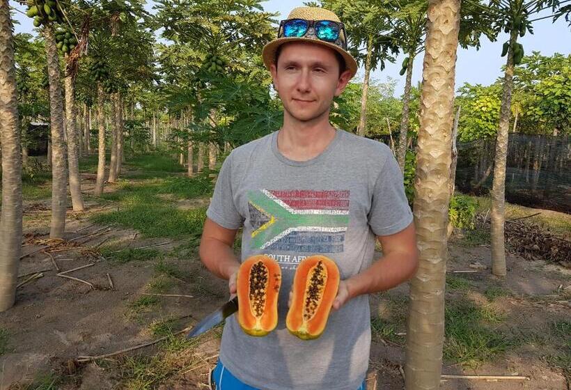 هتل Palm Garden