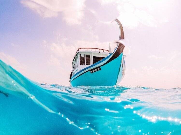 بنسيون Bliss Dhigurah