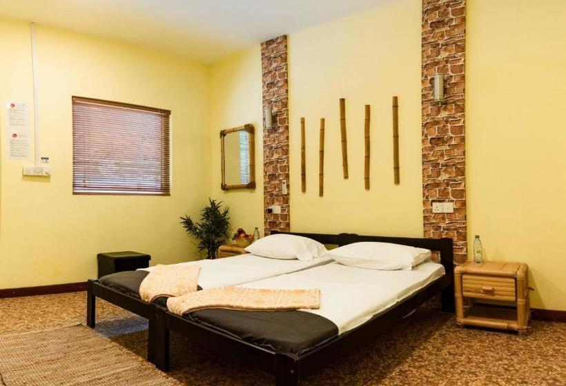 Pensió Dive Villa Thoddoo