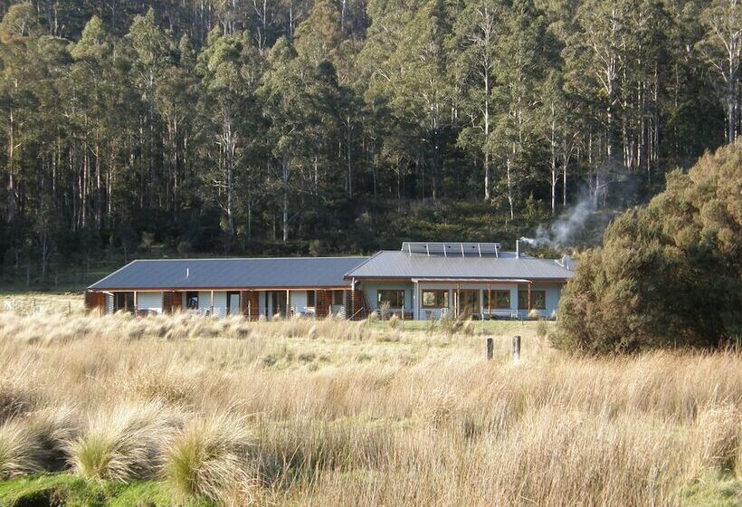 فندق Forest Walks Lodge