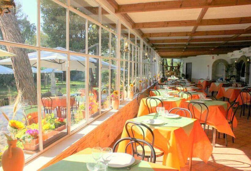 Fotos del hotel Romulus:  14