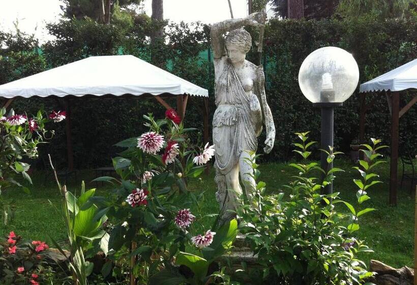 Fotos del hotel Romulus:  4