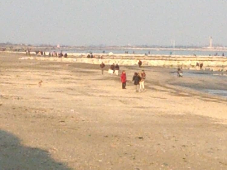 Fotos del hotel Villa Tiziana:  11