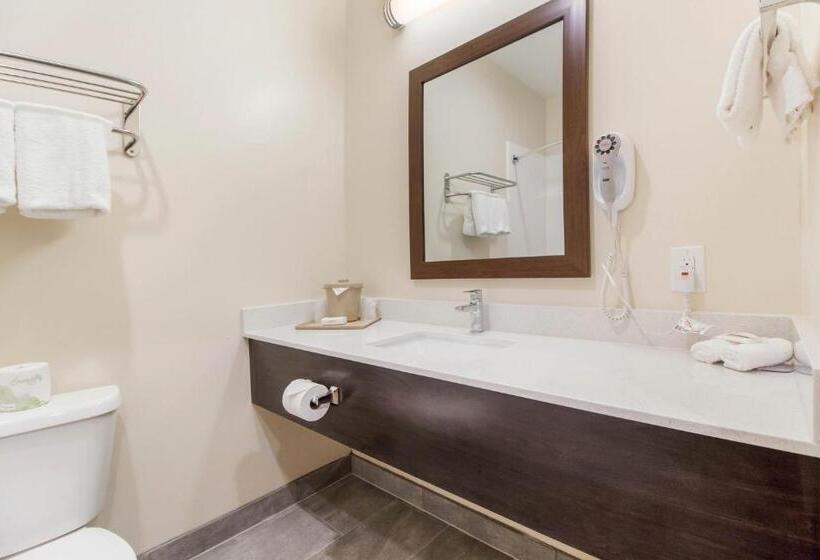 هتل Red Roof Inn Houston  Willowbrook