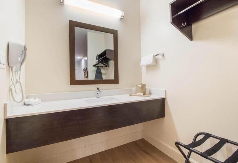 هتل Red Roof Inn Houston  Willowbrook