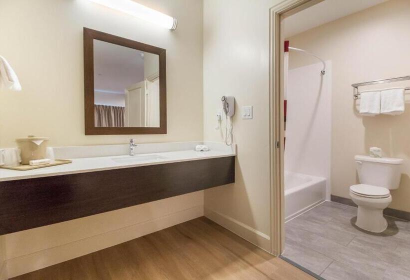 هتل Red Roof Inn Houston  Willowbrook