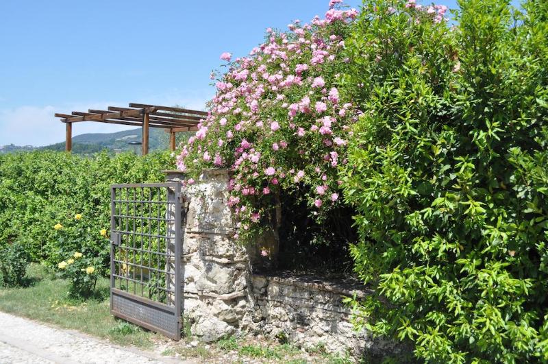 هتل روستایی Agriturismo Il Gelso Nero