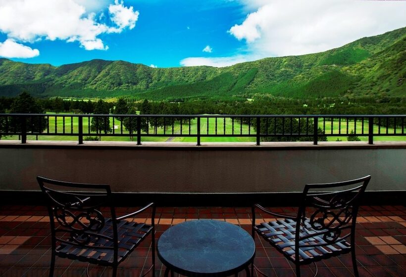 Fotos del hotel Hakone Sengokuhara Prince Hotel:  22