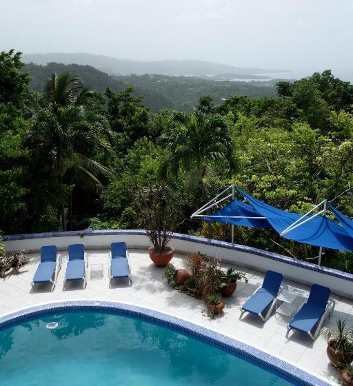 Fotos del hotel Mocking Bird Hill:  17