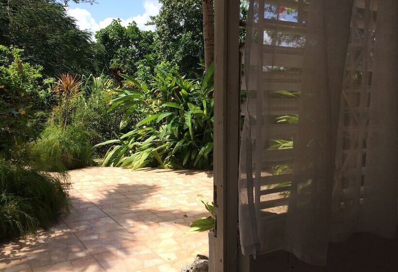 Fotos del hotel Mocking Bird Hill:  23