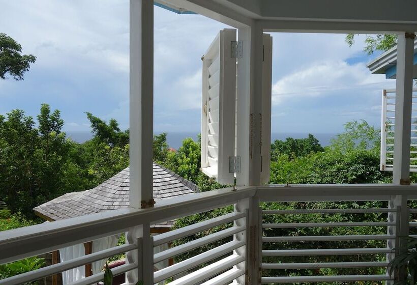 Fotos del hotel Mocking Bird Hill:  9