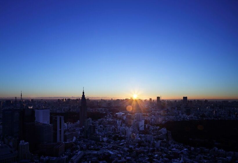 Hôtel Park Hyatt Tokyo