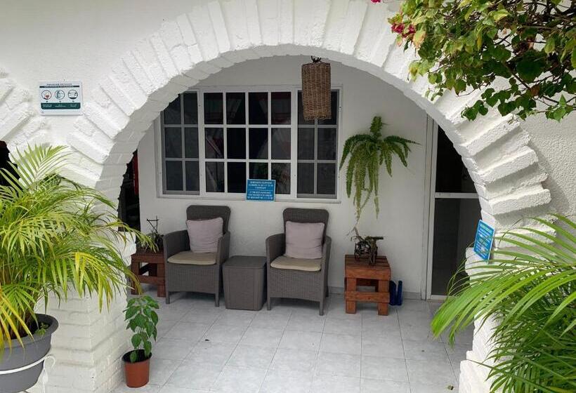 تختخواب و صبحانه Caribo Cozumel