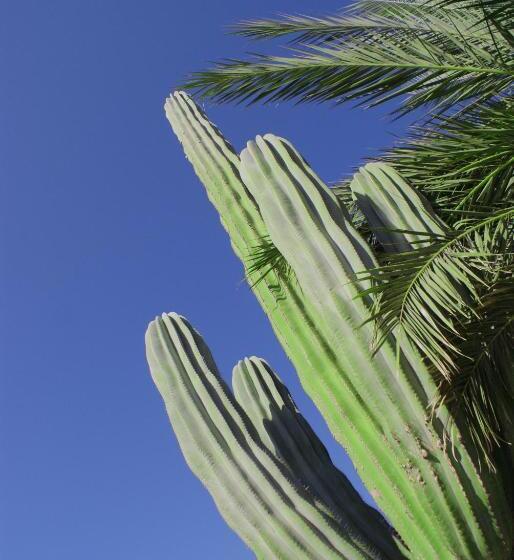 Fotos del hotel Club  Cantamar By The Beach:  24