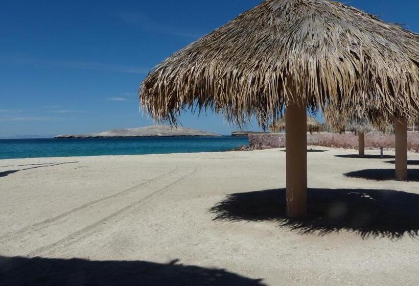Fotos del hotel Club  Cantamar By The Beach:  14
