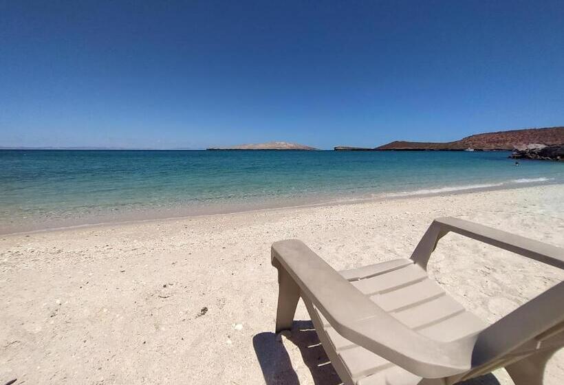 Fotos del hotel Club  Cantamar By The Beach:  11