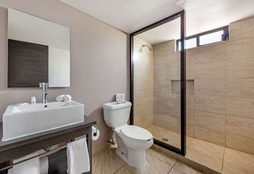 هتل Comfort Inn Queretaro