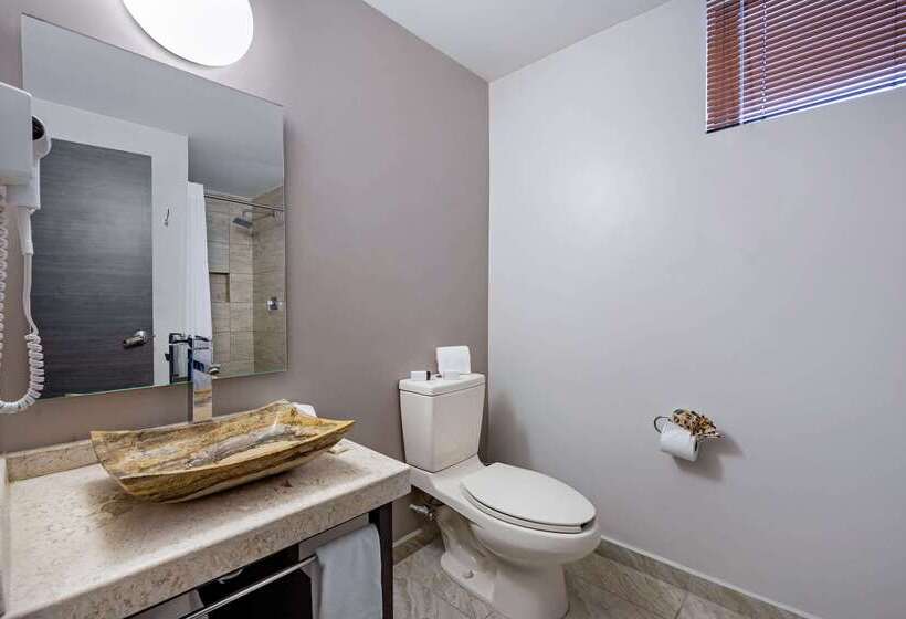 هتل Comfort Inn Queretaro