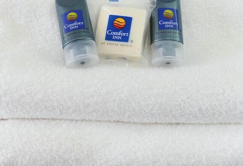 هتل Comfort Inn Queretaro