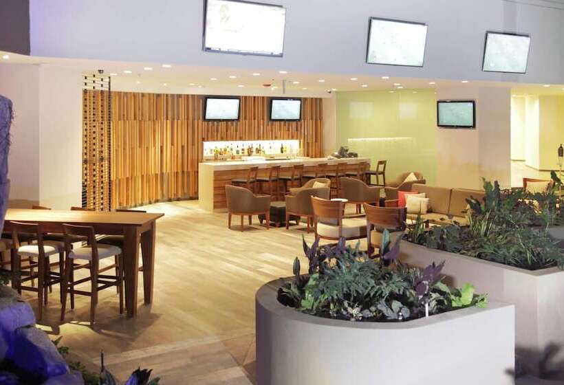 Fotos del hotel Marriott Tuxtla Gutierrez:  14